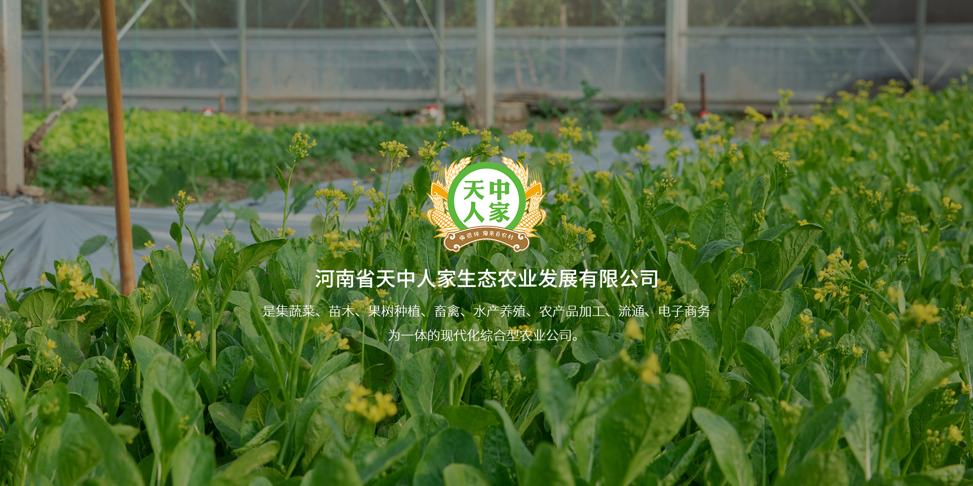 天中人家